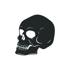 Human skull isolated on white. Vector illustration.