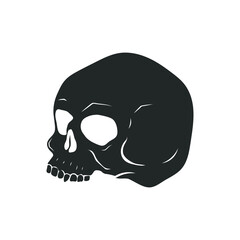 Human skull isolated on white. Vector illustration.