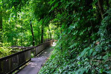 Obraz premium Wooded walkway in downtown Kent, Ohio