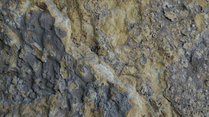 stone wall texture