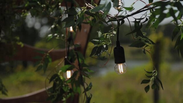 decorated arch on the exit registration. Decor exit registration in nature