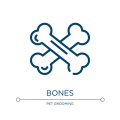 Bones icon. Linear vector illustration from pet grooming collection. Outline bones icon vector. Thin line symbol for use on web and mobile apps, logo, print media.