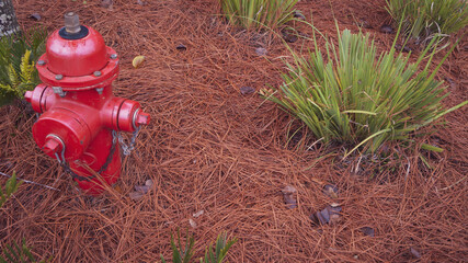 fire hydrant
