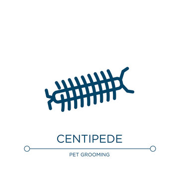 Centipede icon. Linear vector illustration from insects collection. Outline centipede icon vector. Thin line symbol for use on web and mobile apps, logo, print media.