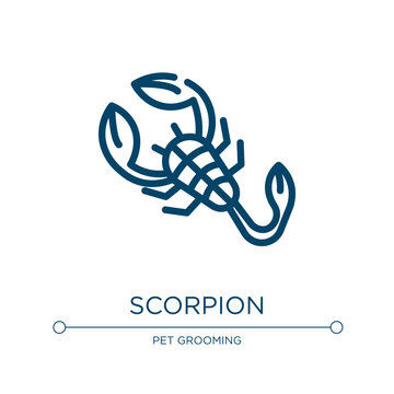 Scorpion icon. Linear vector illustration from insects collection. Outline scorpion icon vector. Thin line symbol for use on web and mobile apps, logo, print media.