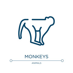Monkeys icon. Linear vector illustration from in the zoo collection. Outline monkeys icon vector. Thin line symbol for use on web and mobile apps, logo, print media.