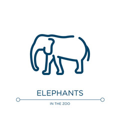 Elephants icon. Linear vector illustration from in the zoo collection. Outline elephants icon vector. Thin line symbol for use on web and mobile apps, logo, print media.