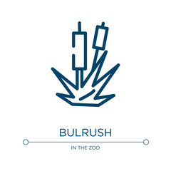 Bulrush icon. Linear vector illustration from nature collection. Outline bulrush icon vector. Thin line symbol for use on web and mobile apps, logo, print media.