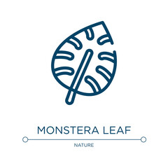 Monstera leaf icon. Linear vector illustration from tropical collection. Outline monstera leaf icon vector. Thin line symbol for use on web and mobile apps, logo, print media.