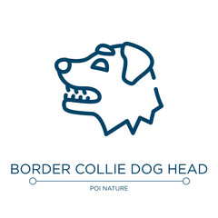 Border collie dog head icon. Linear vector illustration from woof woof collection. Outline border collie dog head icon vector. Thin line symbol for use on web and mobile apps, logo, print media.