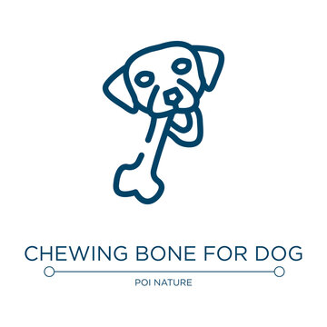 Chewing bone for dog icon. Linear vector illustration from woof woof collection. Outline chewing bone for dog icon vector. Thin line symbol for use on web and mobile apps, logo, print media.