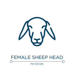 Female sheep head icon. Linear vector illustration from fauna collection. Outline female sheep head icon vector. Thin line symbol for use on web and mobile apps, logo, print media.