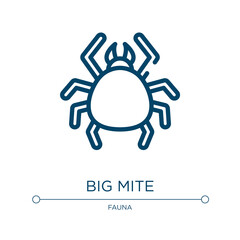 Big mite icon. Linear vector illustration from fauna collection. Outline big mite icon vector. Thin line symbol for use on web and mobile apps, logo, print media.