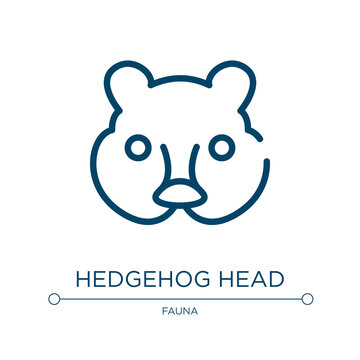 Hedgehog head icon. Linear vector illustration from fauna collection. Outline hedgehog head icon vector. Thin line symbol for use on web and mobile apps, logo, print media.