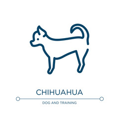 Chihuahua icon. Linear vector illustration from dog and training collection. Outline chihuahua icon vector. Thin line symbol for use on web and mobile apps, logo, print media.