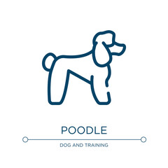 Poodle icon. Linear vector illustration from dog and training collection. Outline poodle icon vector. Thin line symbol for use on web and mobile apps, logo, print media.
