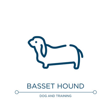 Basset hound icon. Linear vector illustration from dog and training collection. Outline basset hound icon vector. Thin line symbol for use on web and mobile apps, logo, print media.
