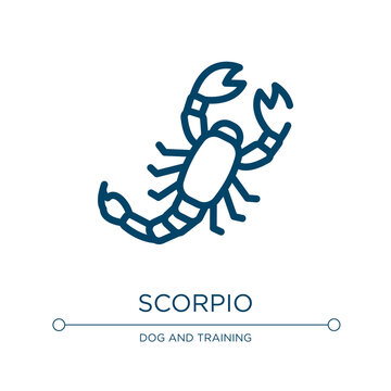 Scorpio icon. Linear vector illustration from insects collection. Outline scorpio icon vector. Thin line symbol for use on web and mobile apps, logo, print media.