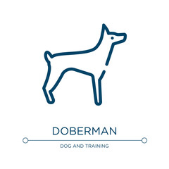 Doberman icon. Linear vector illustration from dog breeds fullbody collection. Outline doberman icon vector. Thin line symbol for use on web and mobile apps, logo, print media.