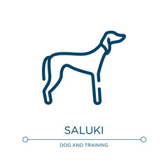 Saluki icon. Linear vector illustration from dog breeds fullbody collection. Outline saluki icon vector. Thin line symbol for use on web and mobile apps, logo, print media.