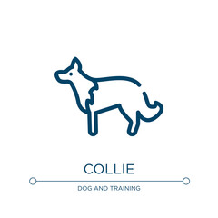 Collie icon. Linear vector illustration from dog breeds fullbody collection. Outline collie icon vector. Thin line symbol for use on web and mobile apps, logo, print media.