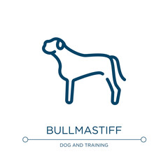 Bullmastiff icon. Linear vector illustration from dog breeds fullbody collection. Outline bullmastiff icon vector. Thin line symbol for use on web and mobile apps, logo, print media.