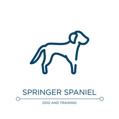 Springer spaniel icon. Linear vector illustration from dog breeds fullbody collection. Outline springer spaniel icon vector. Thin line symbol for use on web and mobile apps, logo, print media.