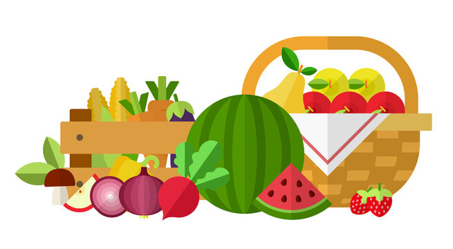 Illustration of garden products, vegetables, fruits, berries in box and basket vector illustration