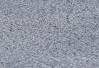 Fototapeta premium A layer of salt crust on the edge of a dried up salt pond at Moss Landing, forming a thin, crusty layer of white crystals.