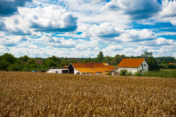 Fototapeta premium It's Landscape of the Serbian village