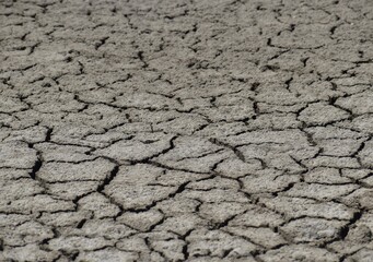 The cracked mud at the edge of a drying salt pond at the Moss Landing Wildlife Area in California