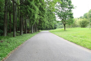 Obraz premium 直線道路