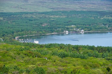 Fototapeta na wymiar 展望台から眺める新緑の山中湖湖畔