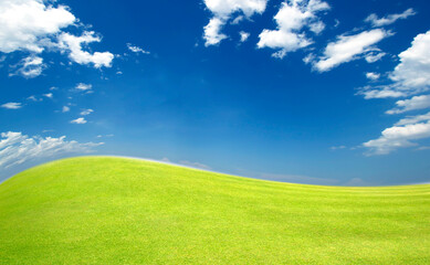 Meadow and sky Field of green grass