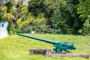 Cannons in the Fort Nieuw Amsterdam, Suriname, South America