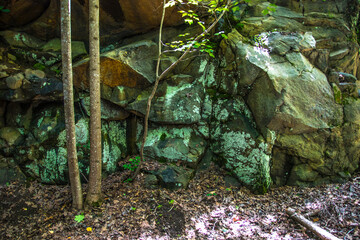 Nature along a 65 mile paved walking and hiking trail in north Georgia Silver Comet Trail