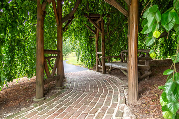 Bench in Arbor Under a Tree