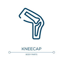 Kneecap icon. Linear vector illustration from body parts collection. Outline kneecap icon vector. Thin line symbol for use on web and mobile apps, logo, print media.