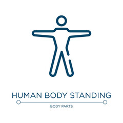 Human body standing icon. Linear vector illustration from body parts collection. Outline human body standing icon vector. Thin line symbol for use on web and mobile apps, logo, print media.