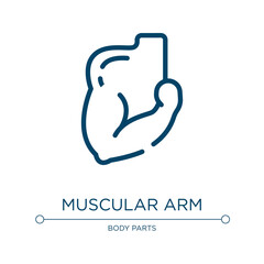 Muscular arm icon. Linear vector illustration from body parts collection. Outline muscular arm icon vector. Thin line symbol for use on web and mobile apps, logo, print media.