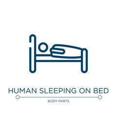 Human sleeping on bed icon. Linear vector illustration from medicine and health collection. Outline human sleeping on bed icon vector. Thin line symbol for use on web and mobile apps, logo, print