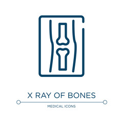 X ray of bones icon. Linear vector illustration from medical icons collection. Outline x ray of bones icon vector. Thin line symbol for use on web and mobile apps, logo, print media.