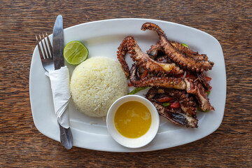 Fried octopus tentacles with white rice on a plate, close up