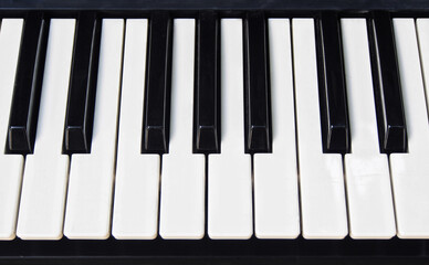 keyboard musical instruments for musicians