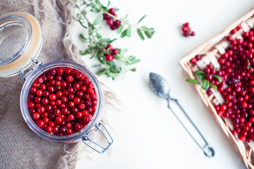 autumn berries on table, lingonberry raw closeup