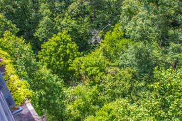 Nature along a 65 mile paved walking and hiking trail in north Georgia