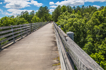 Fototapeta na wymiar Nature along a 65 mile paved walking and hiking trail in north Georgia Silver Comet Trail