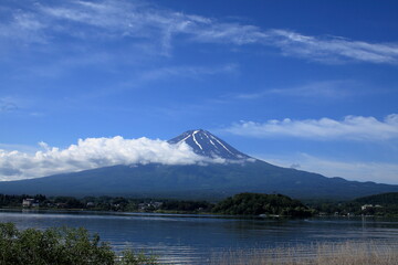 Obraz premium I took a walk around the lake.