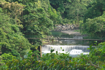 Small waterfall and bridge in the forest