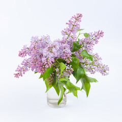 A branch of purple lilac in a glass of water, used as a background or texture
